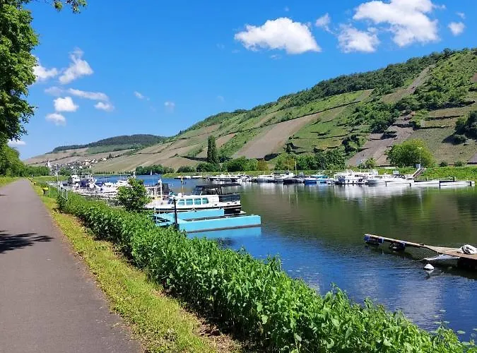 Tintemann トラーベン・トラールバッハ