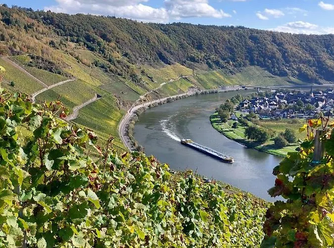 Tintemann アパート